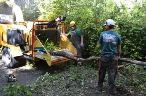 tree services Maxwell